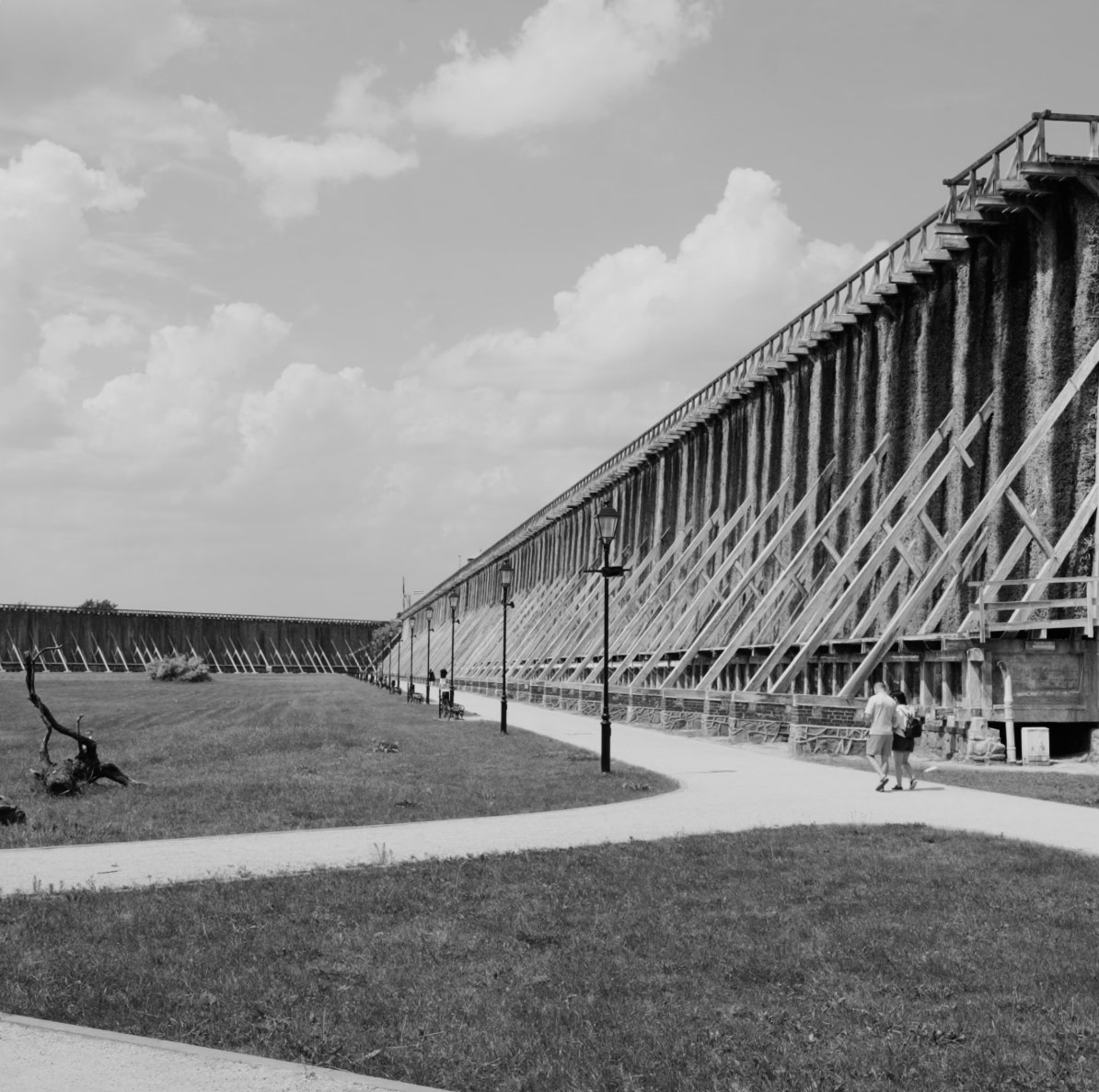rachel-refael-the-sanatorium